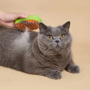 3 in 1 Self Cleaning Cat Massage Comb with USB Charging