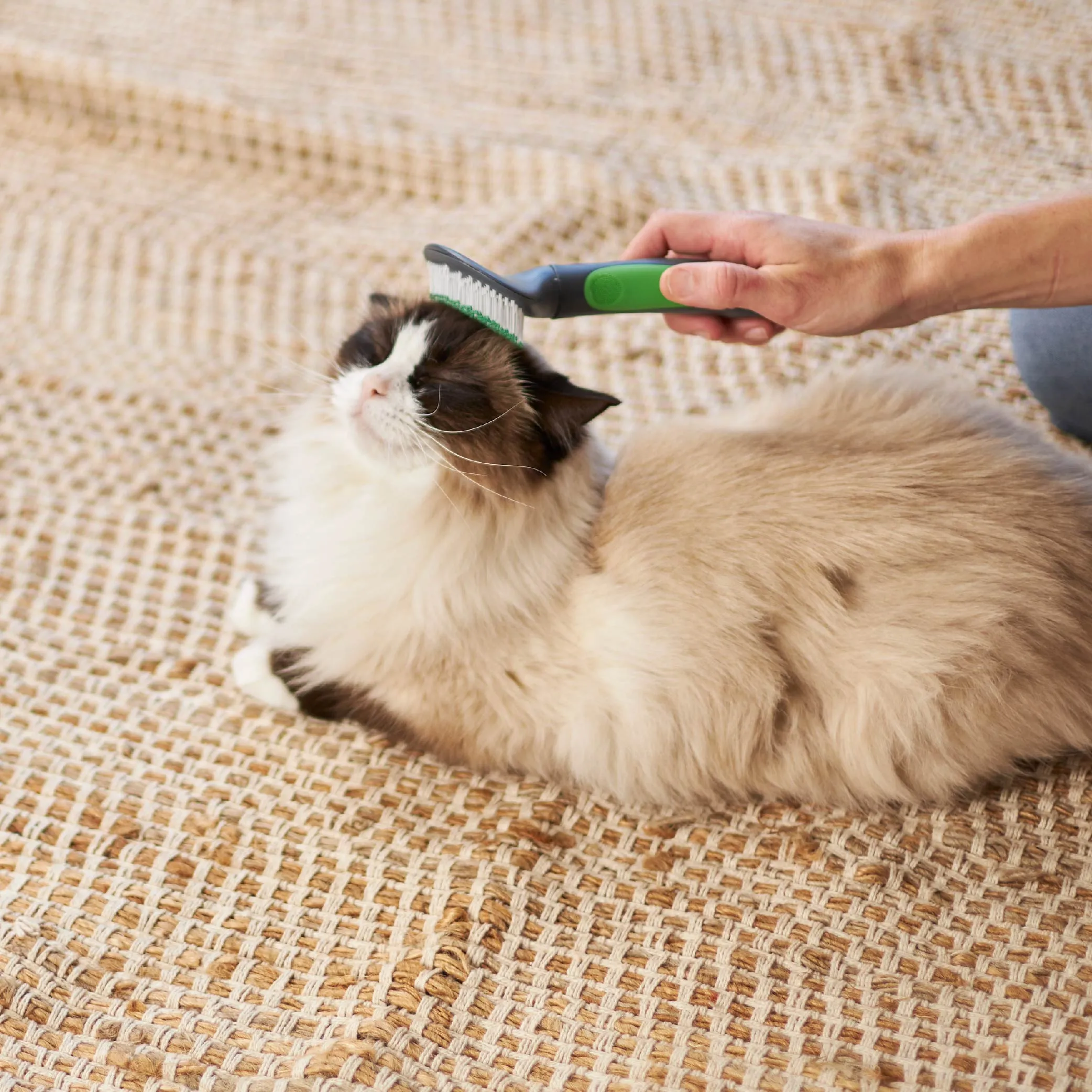 Cat Slicker Brush
