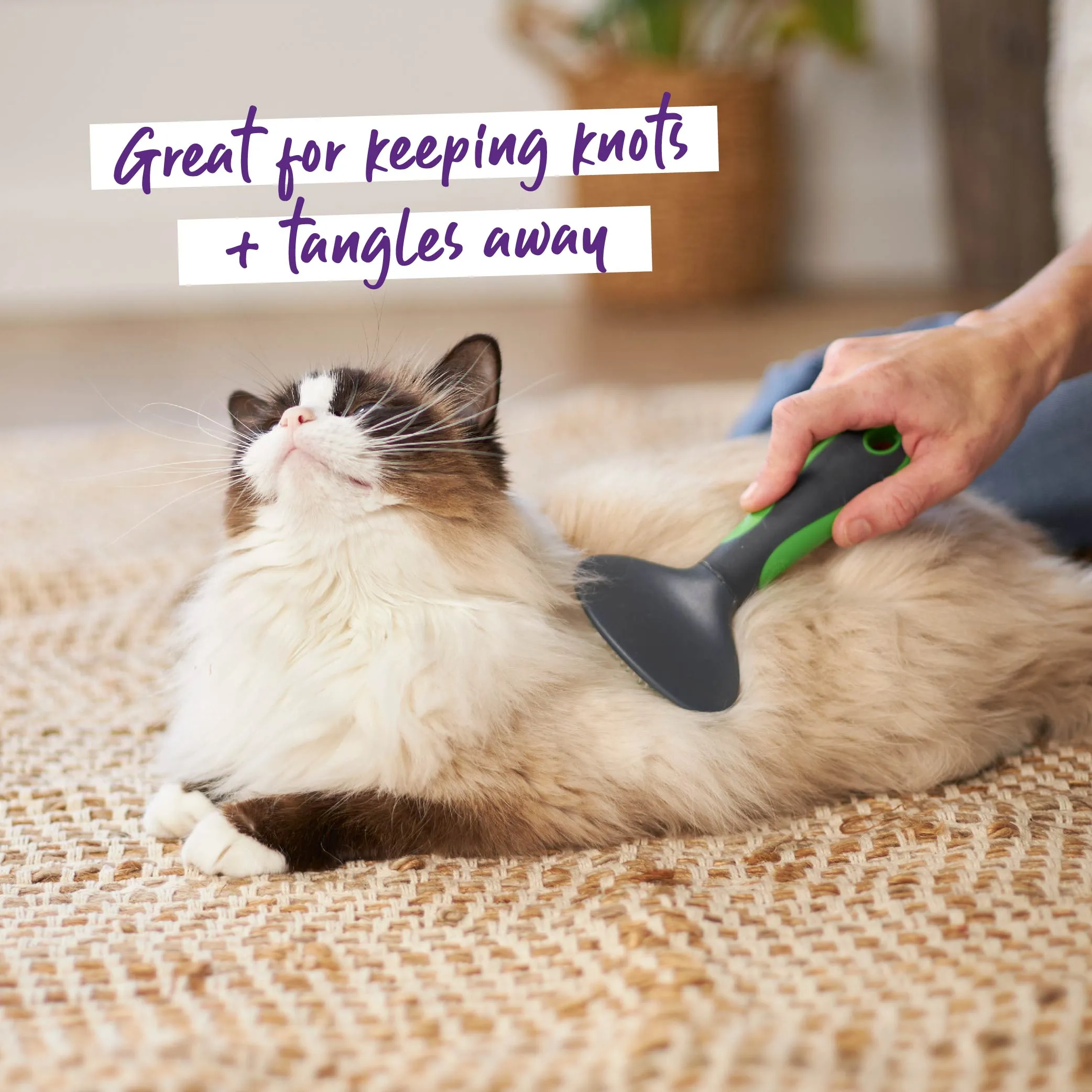 Cat Slicker Brush