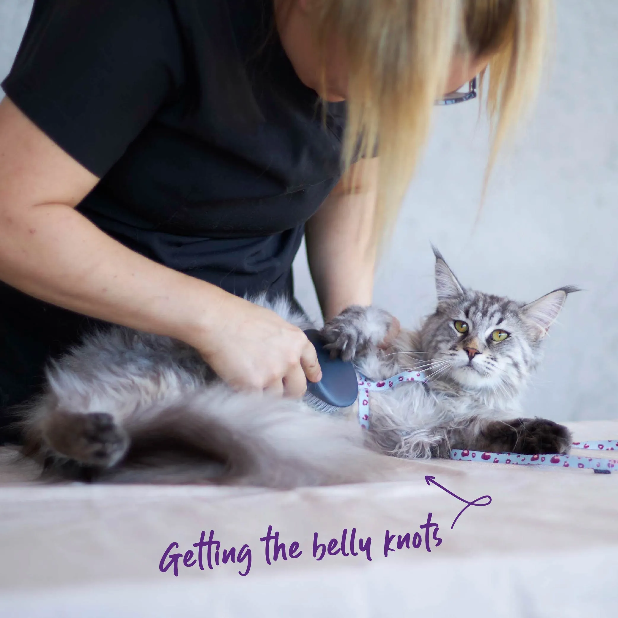 Cat Slicker Brush