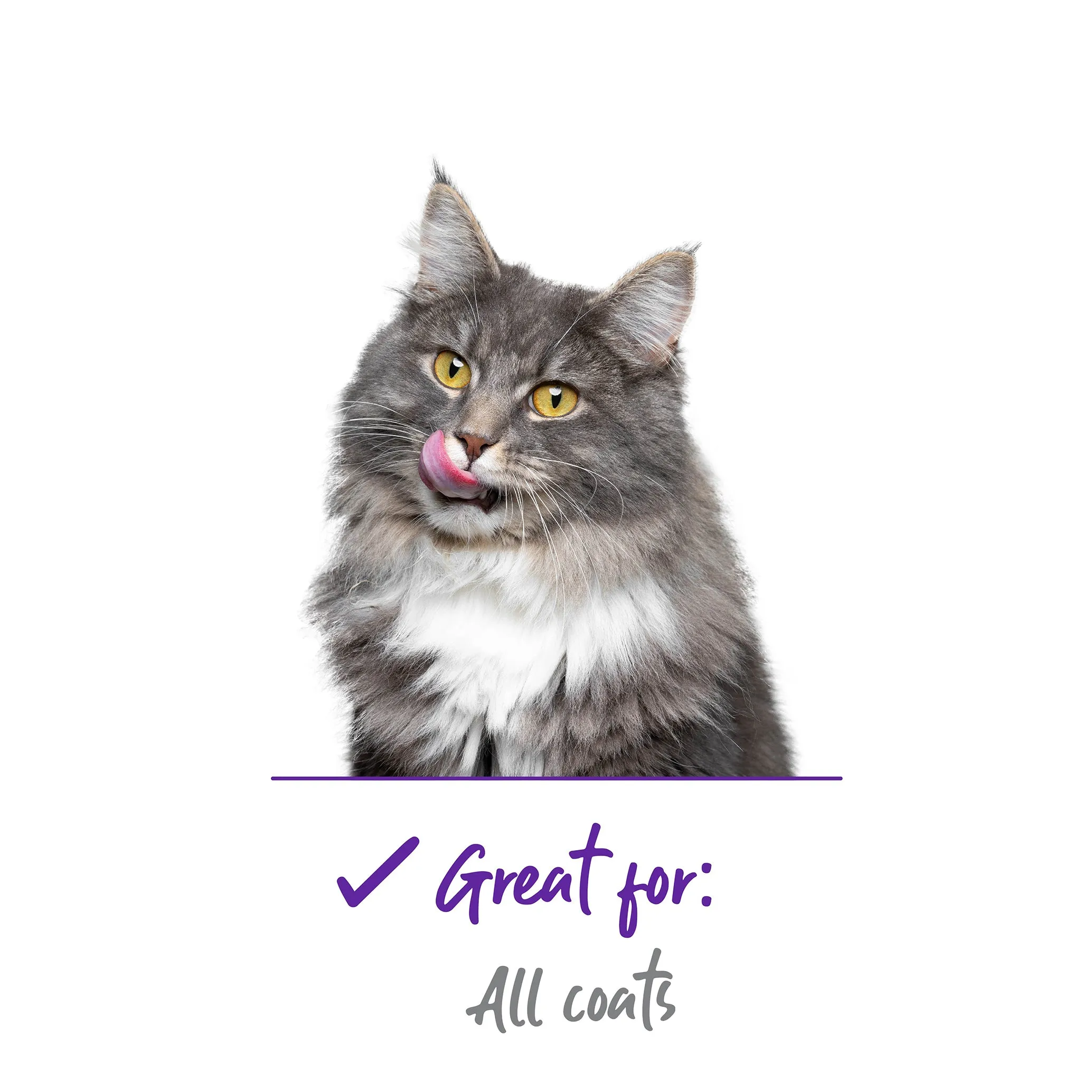 Cat Slicker Brush