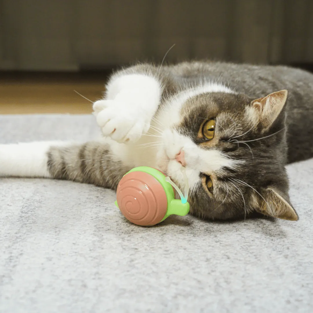 Curatepet Wicked Snail-Brown/Green Interactive Cat Toy