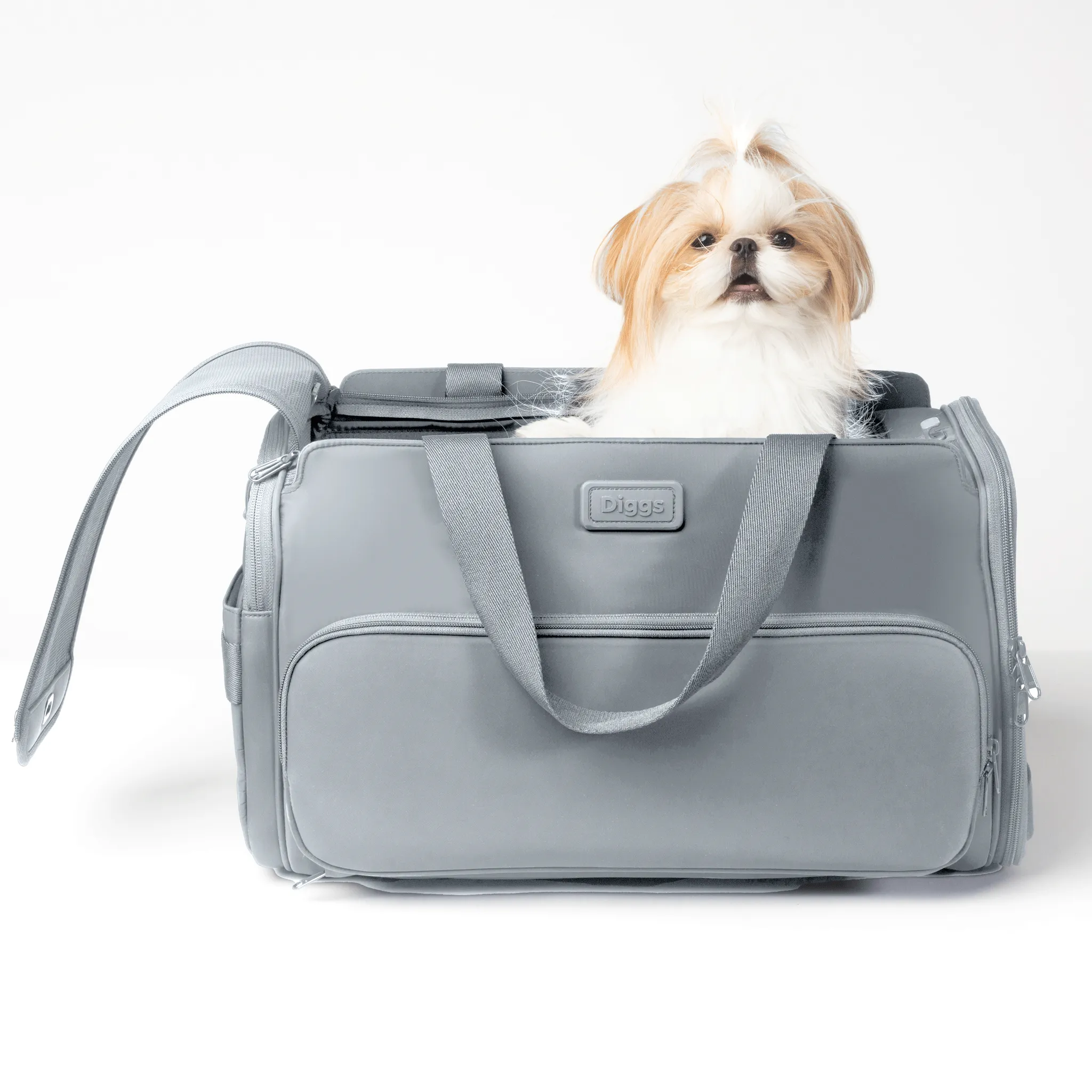 Diggs Passenger Travel Carrier - Grey