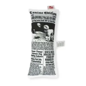 Doggy Fake News Squeaky Toy