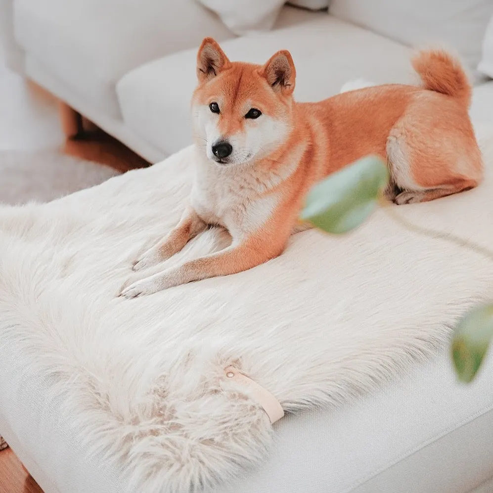FÖRA Dog Blanket - Faux Fur