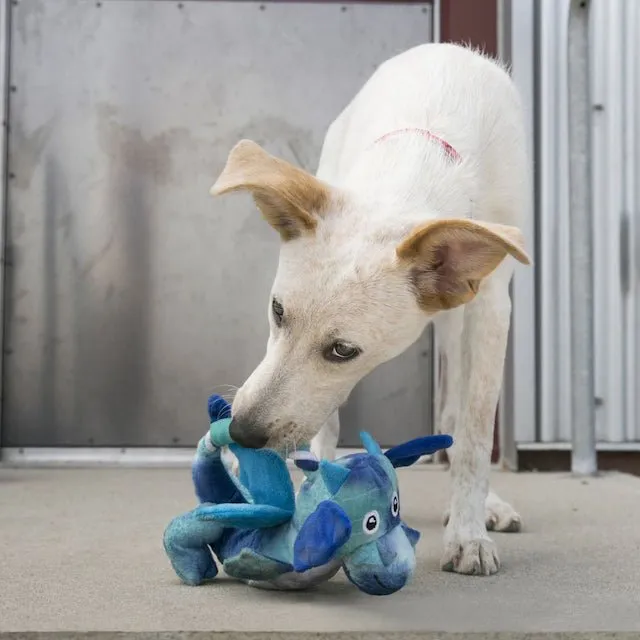 Kong Dragon Knots Dog Toy