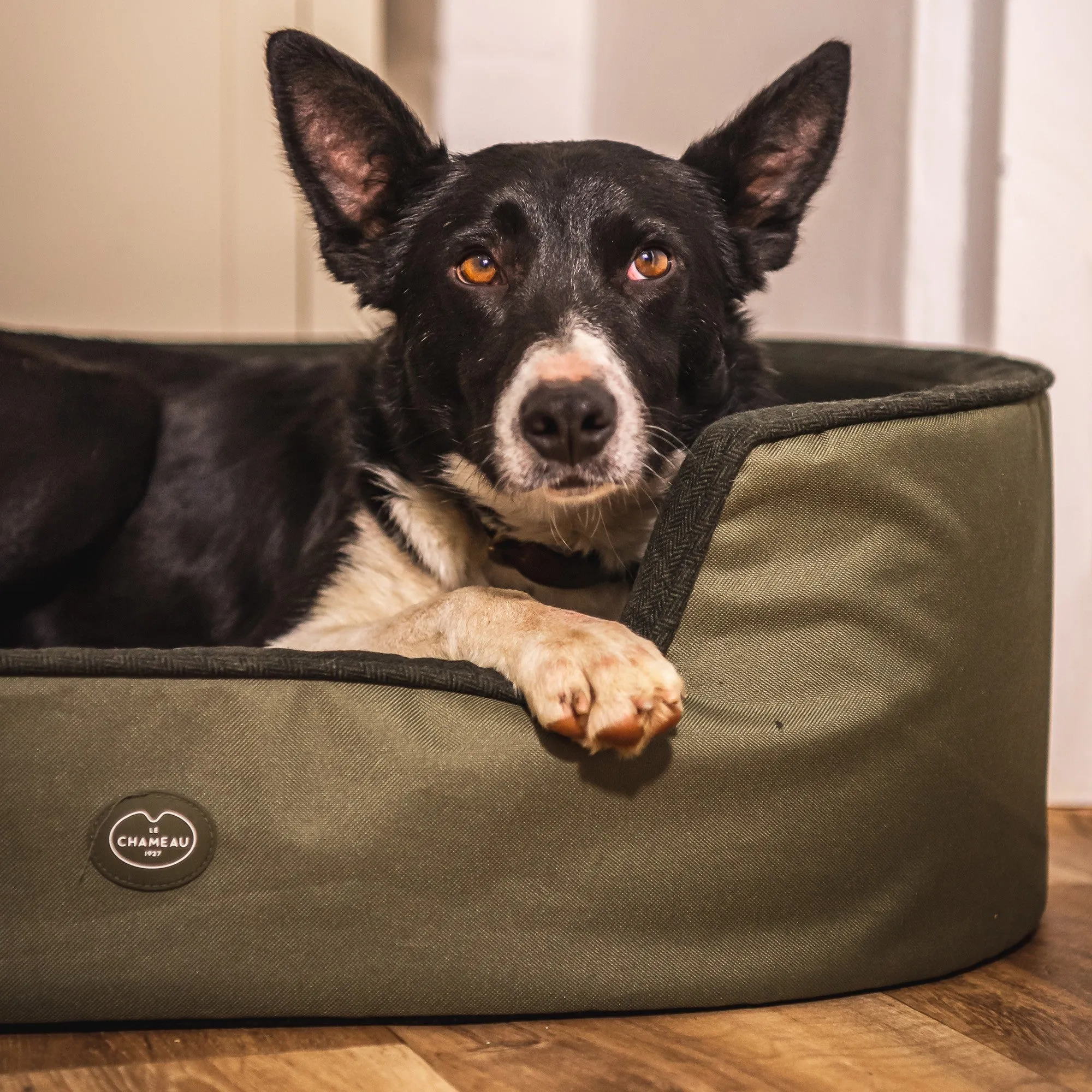 Le Chameau Dog Bed