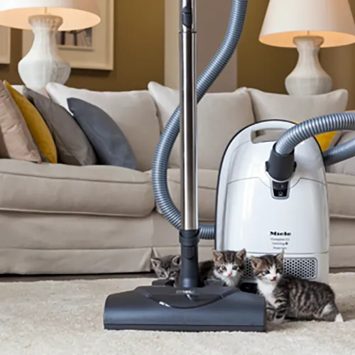 Miele Complete C3 Cat and Dog Vacuum