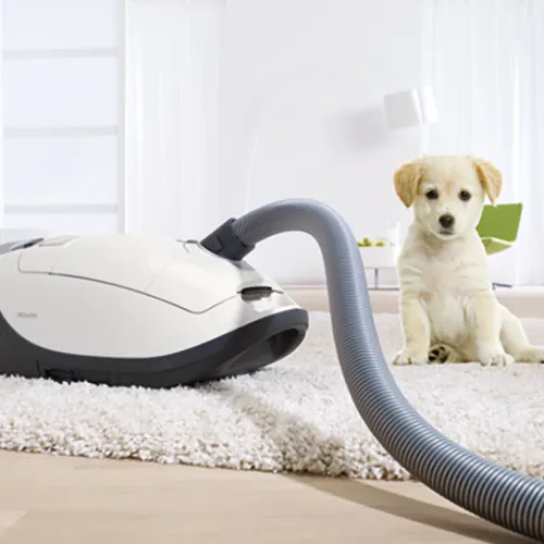Miele Complete C3 Cat and Dog Vacuum