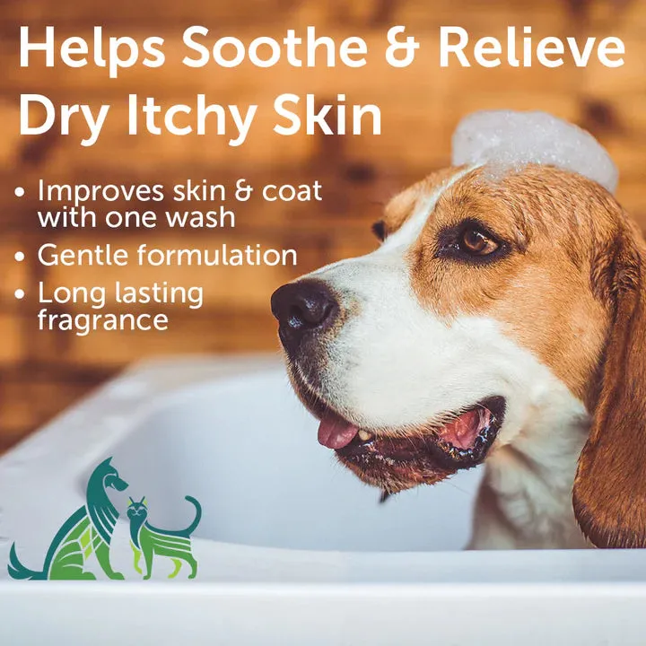 Nootie Soothing Aloe & Oatmeal, Cucumber Melon 16-oz, Pet Shampoo