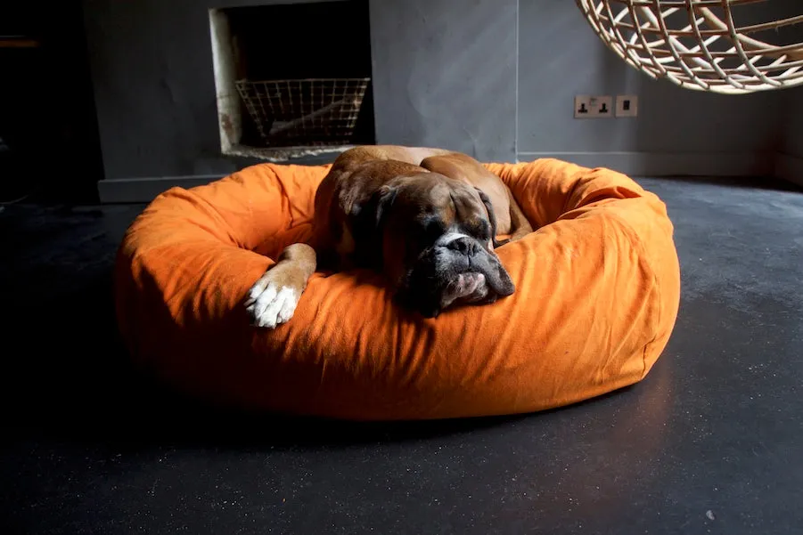 Orange Moleskin Dog Bed