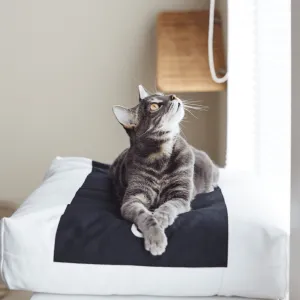 Padi Cat Cushion by MyKotty
