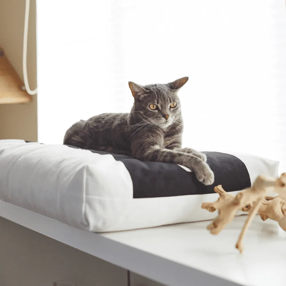 Padi Cat Cushion by MyKotty