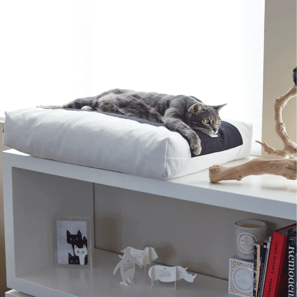 Padi Cat Cushion by MyKotty