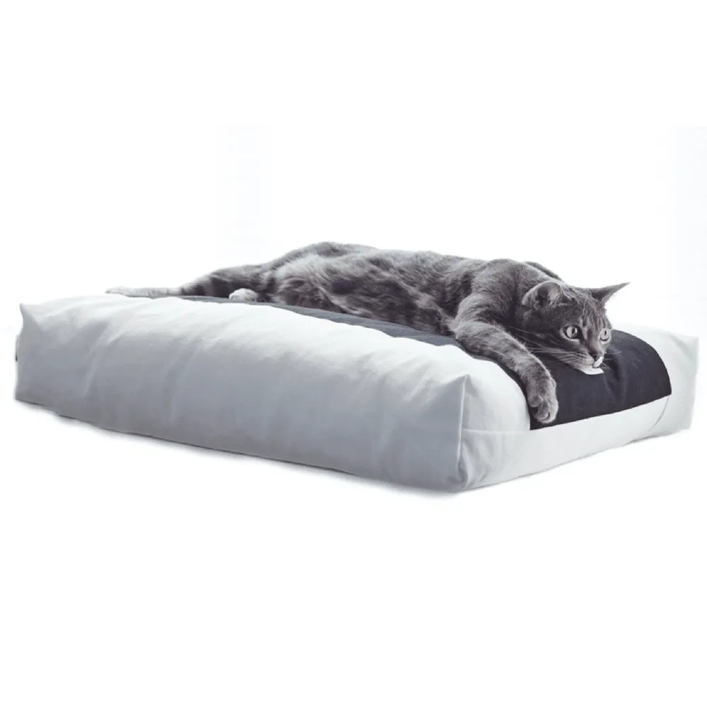 Padi Cat Cushion by MyKotty