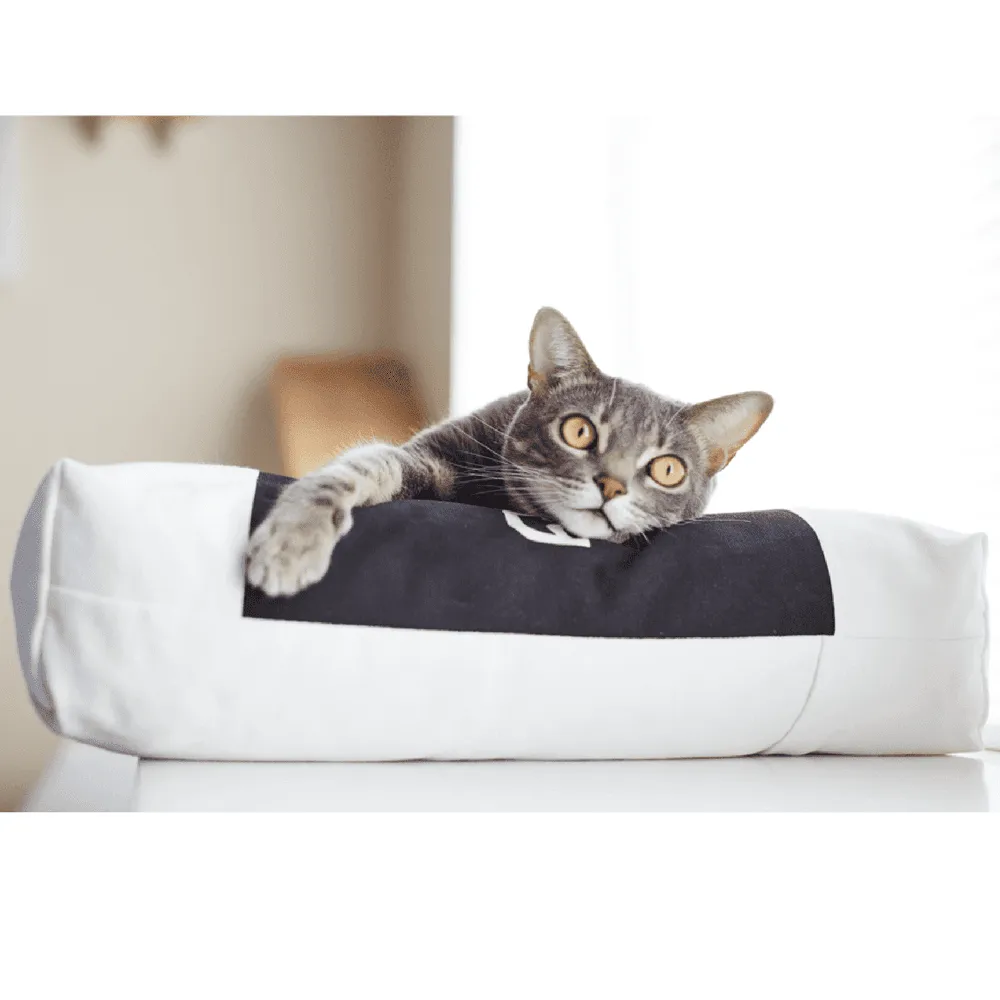 Padi Cat Cushion by MyKotty