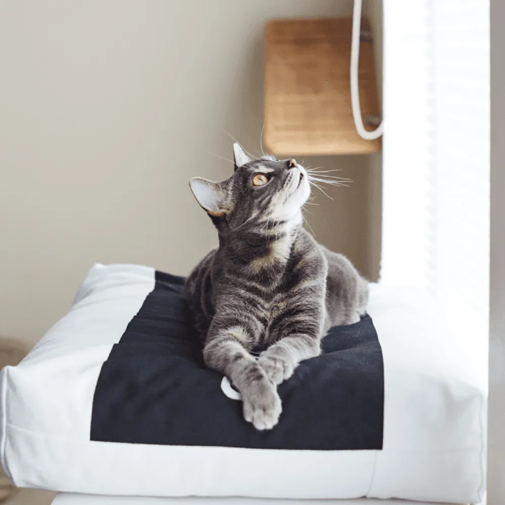 Padi Cat Cushion by MyKotty