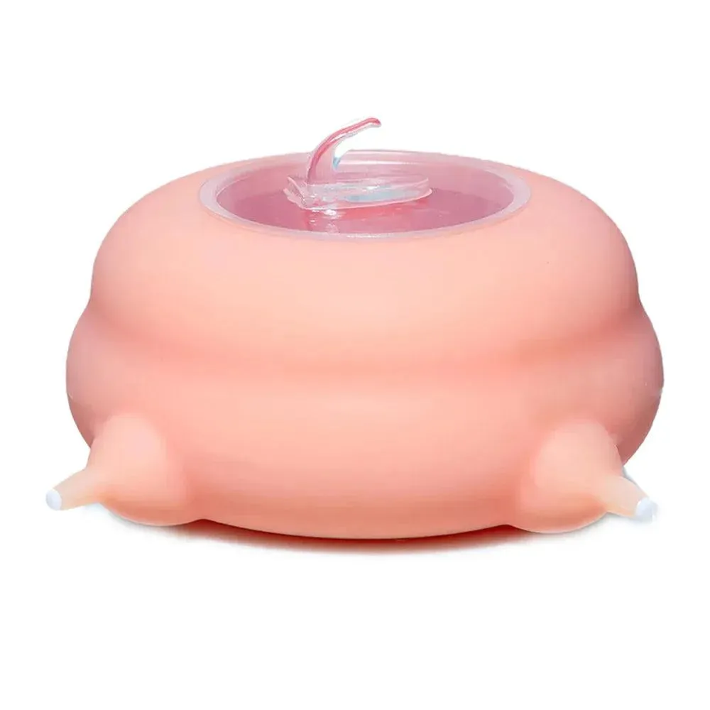 Portable Pet Milk Feeding Bowl 200ml