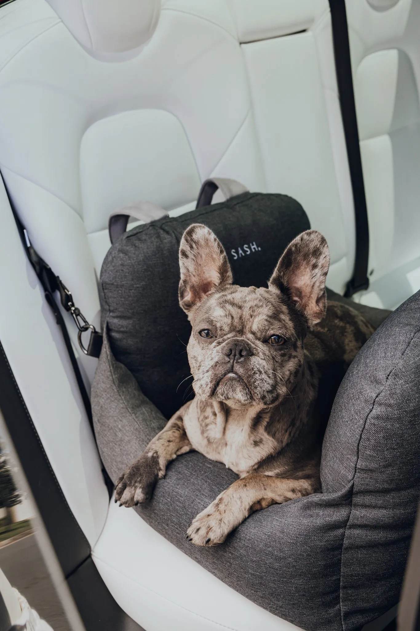 Premium Dog Car Bed Add-On