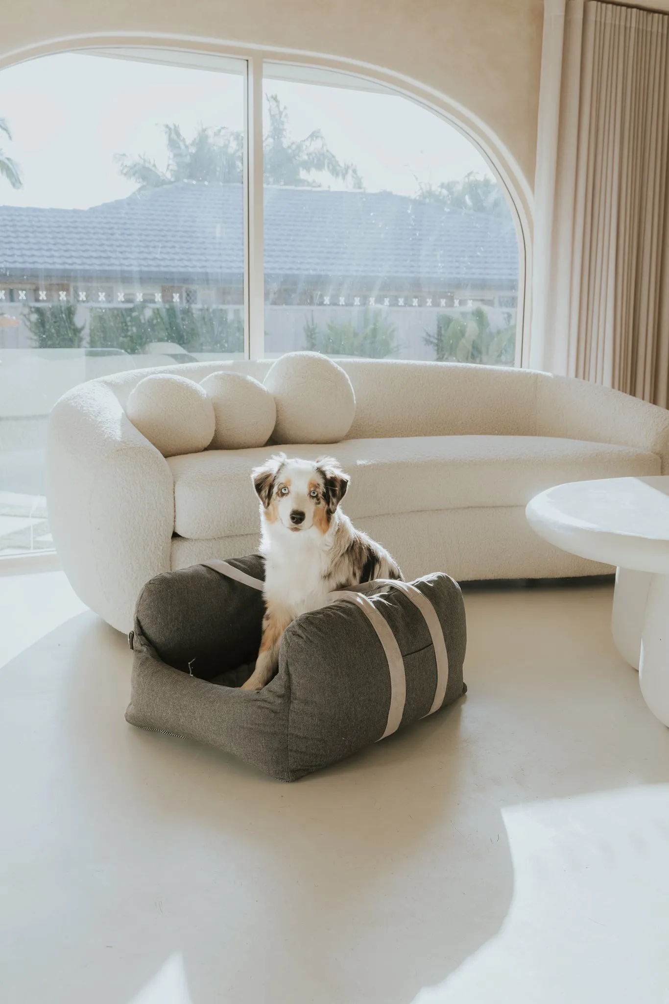 Premium Dog Car Bed Add-On