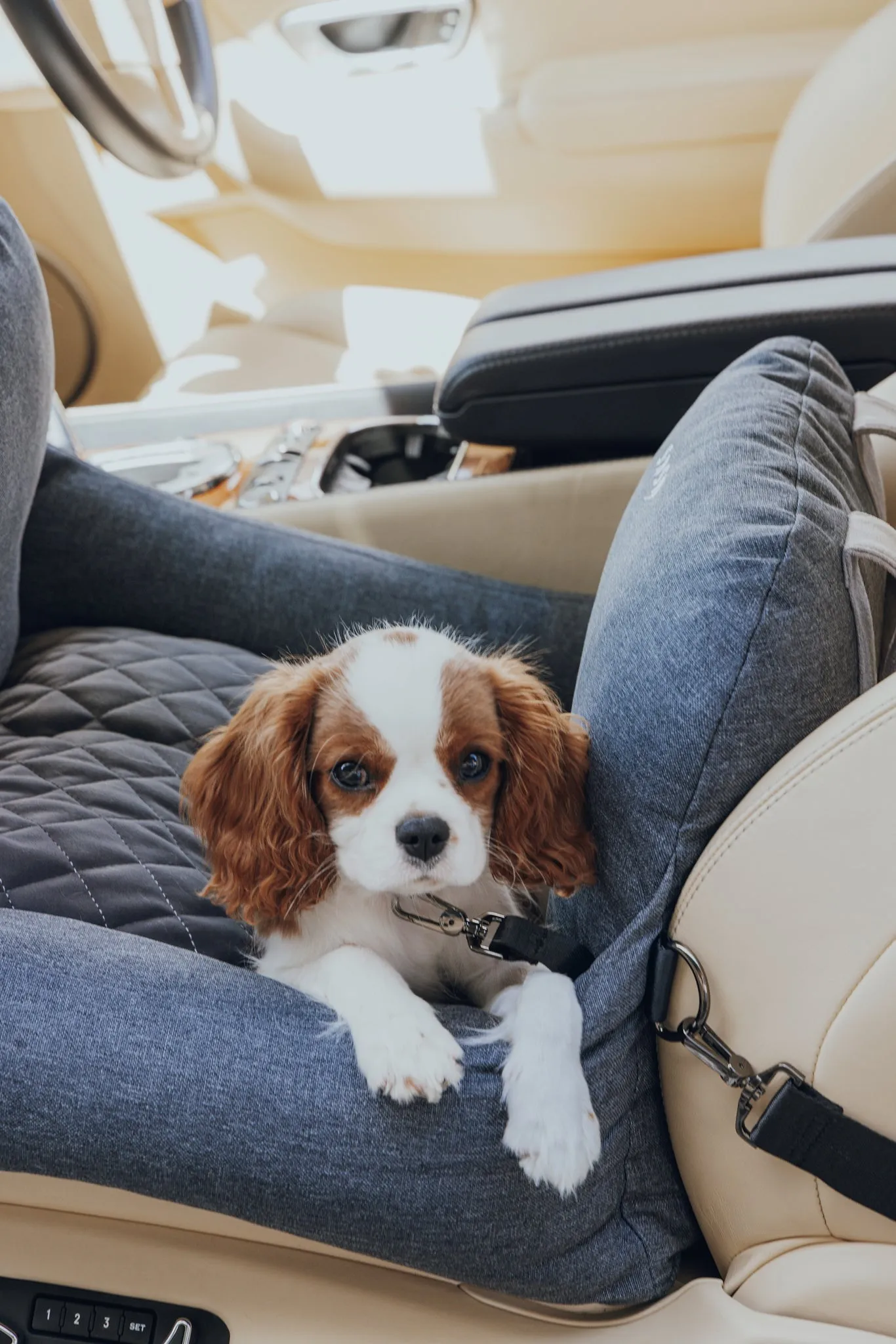 Premium Dog Car Bed Add-On