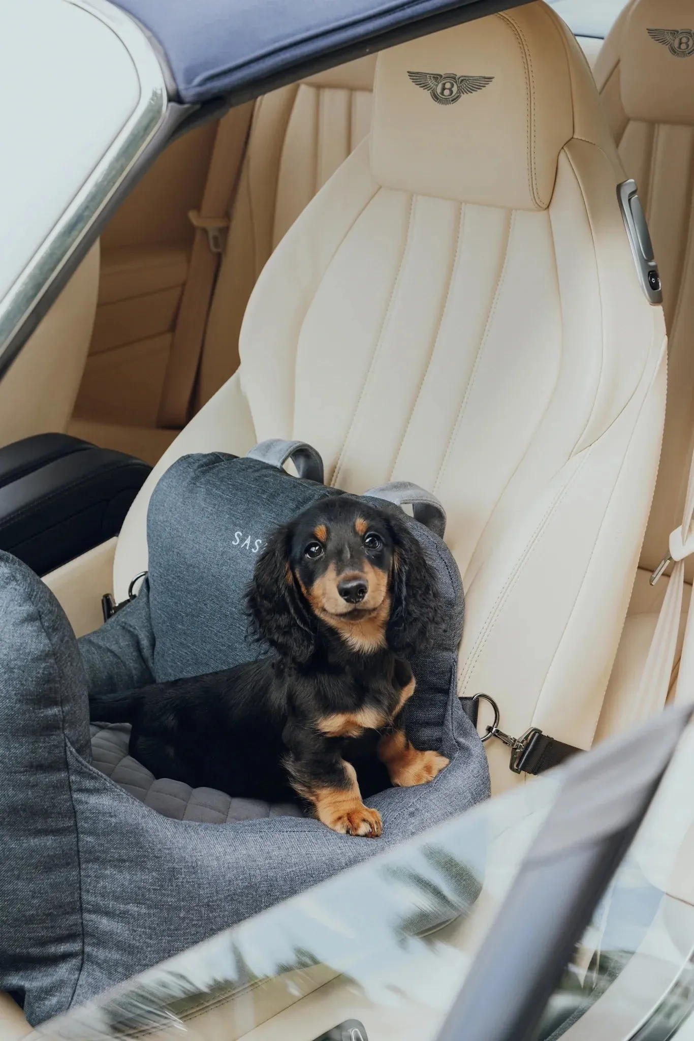 Premium Dog Car Bed Add-On