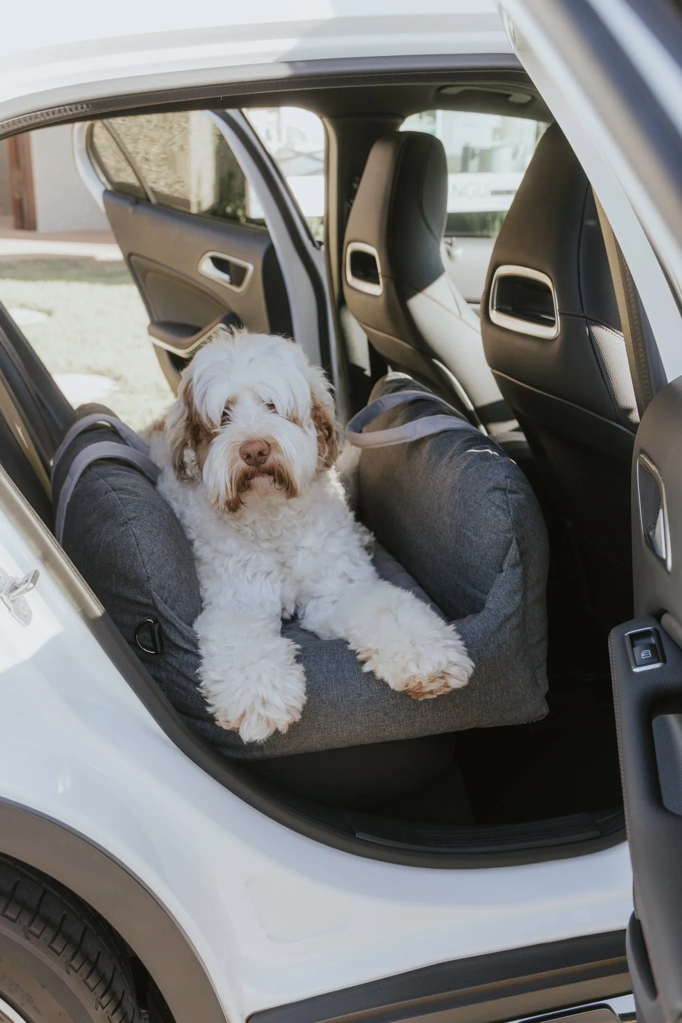 Premium Dog Car Bed Add-On