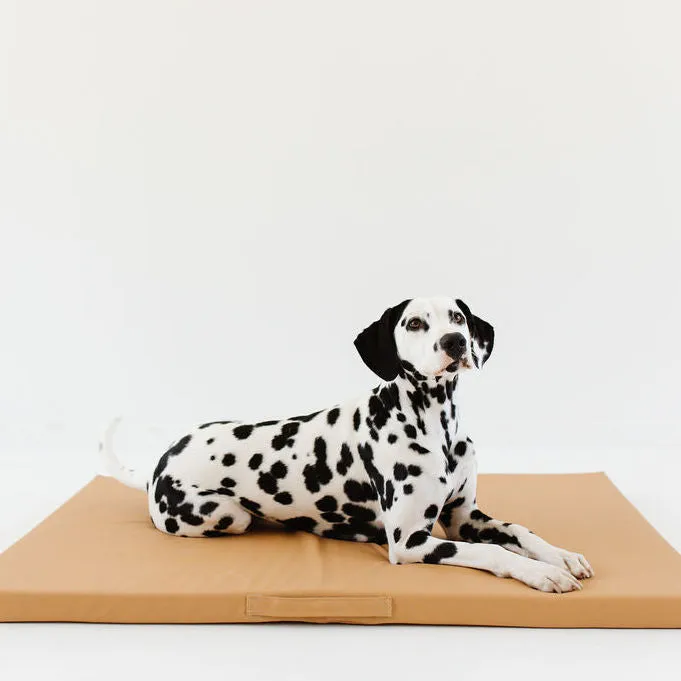 Sand | Dog Bed