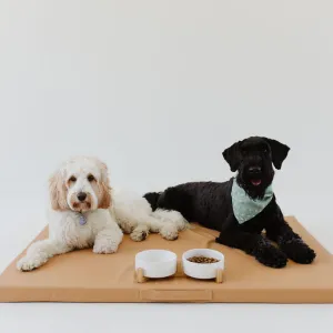 Sand | Dog Bed