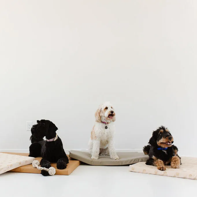 Sand | Dog Bed