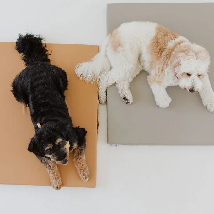 Sand | Dog Bed