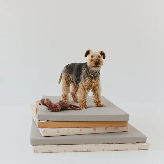 Sand | Dog Bed