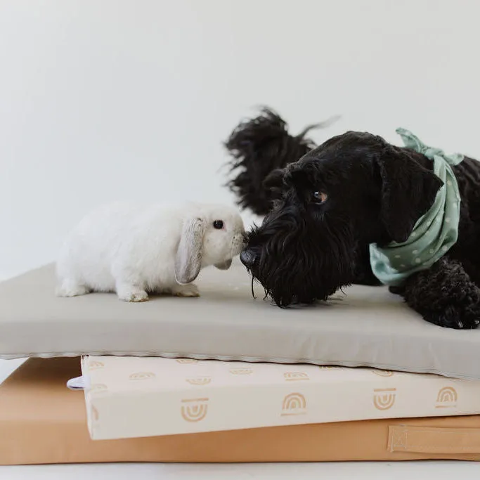 Sand | Dog Bed