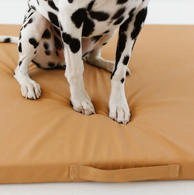 Sand | Dog Bed