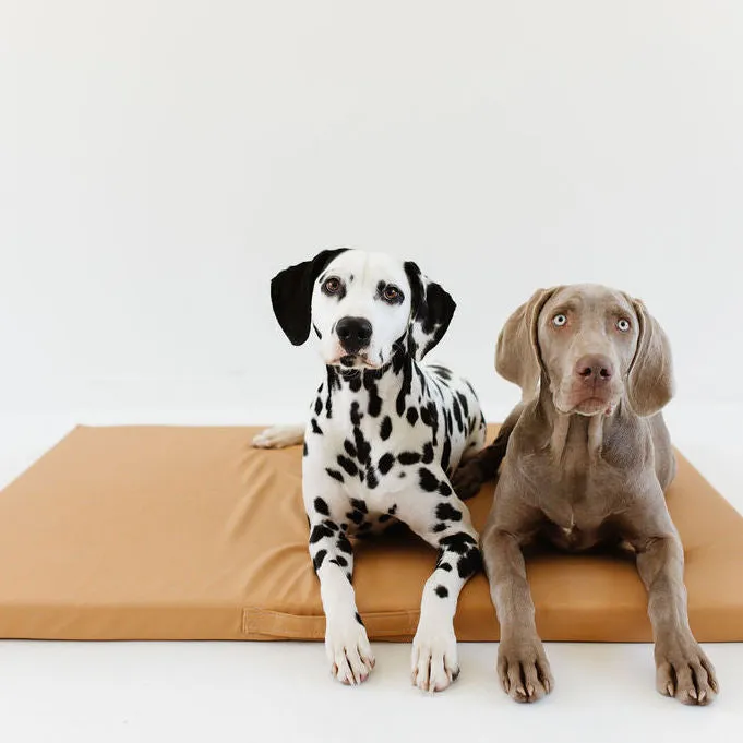 Sand | Dog Bed