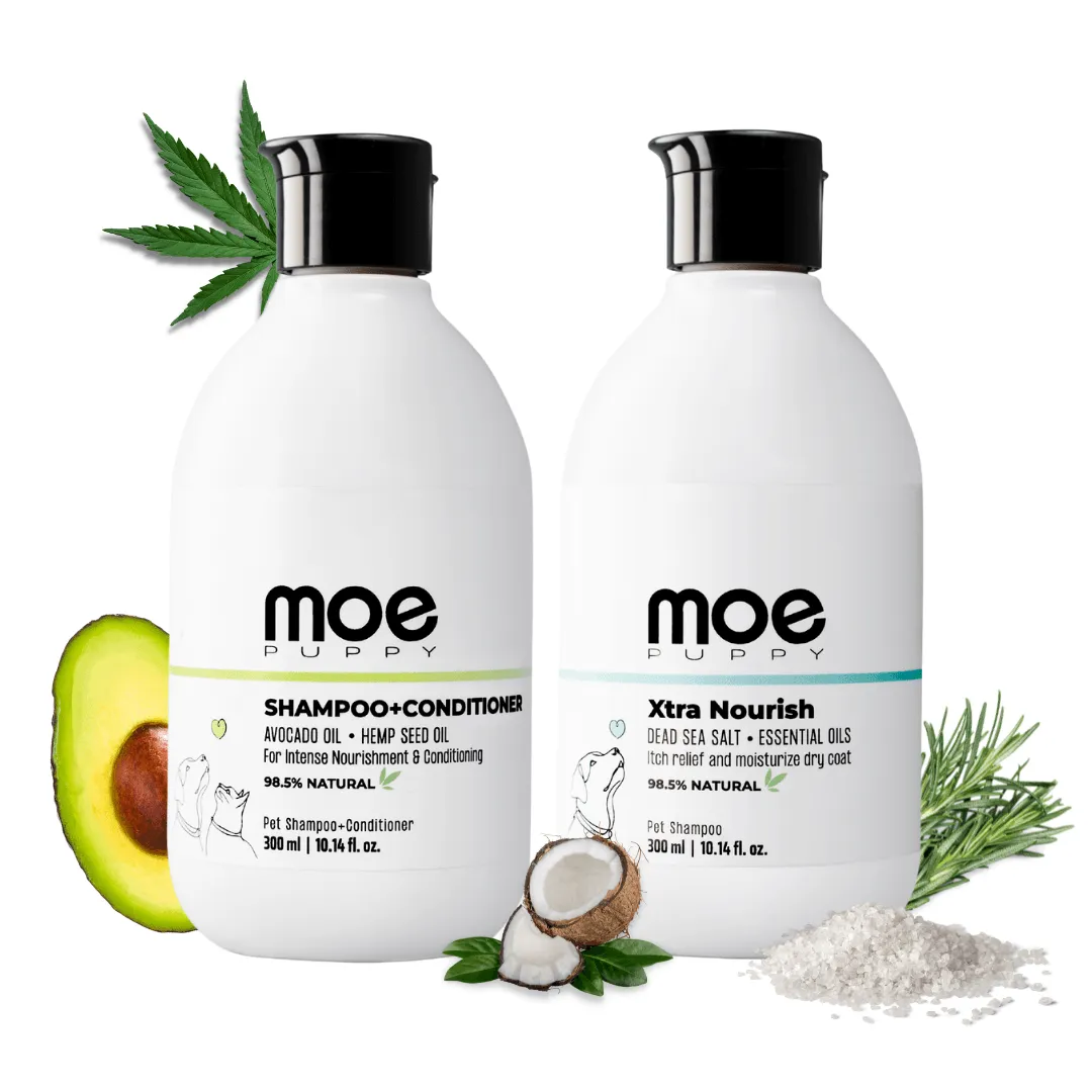 Shampoo Conditioner & Xtra Nourish Pet Shampoo Combo