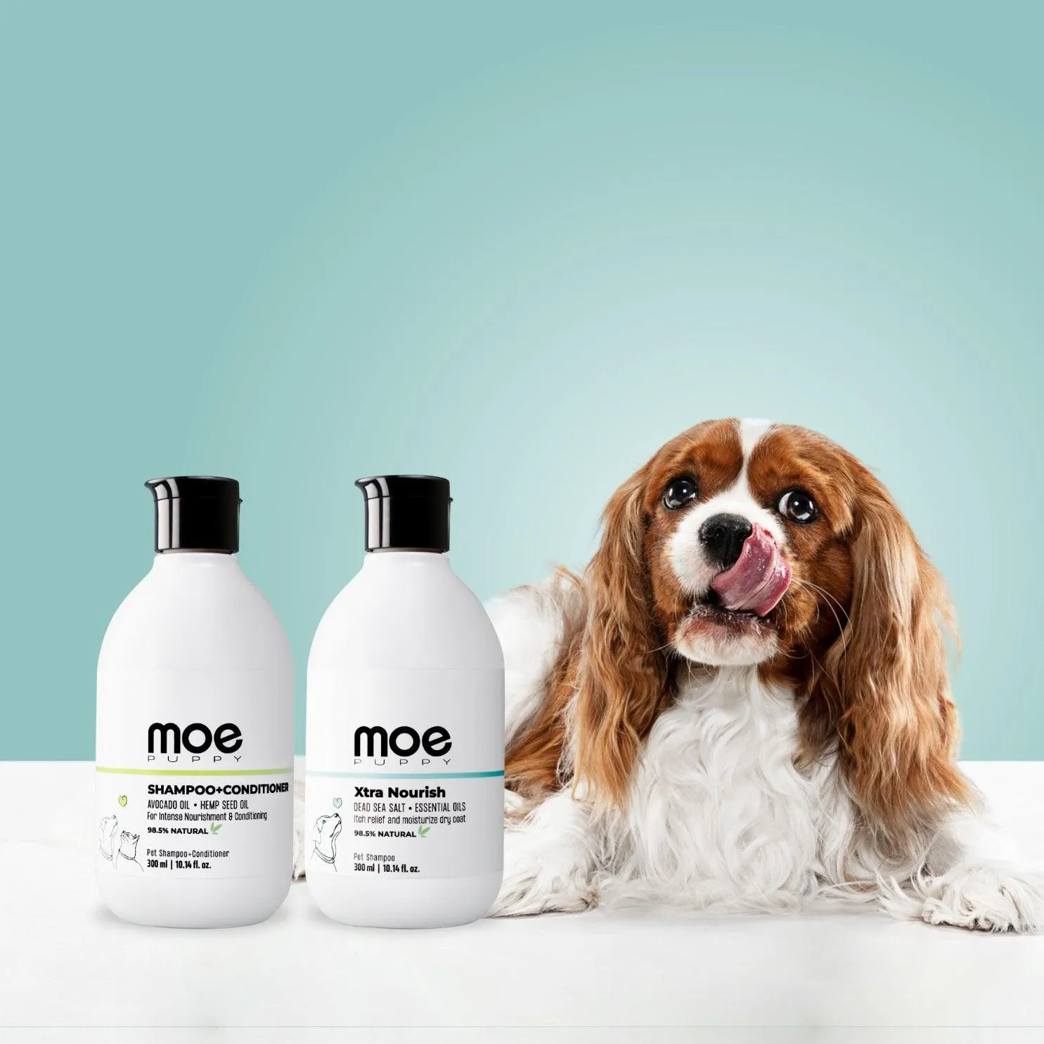 Shampoo Conditioner & Xtra Nourish Pet Shampoo Combo