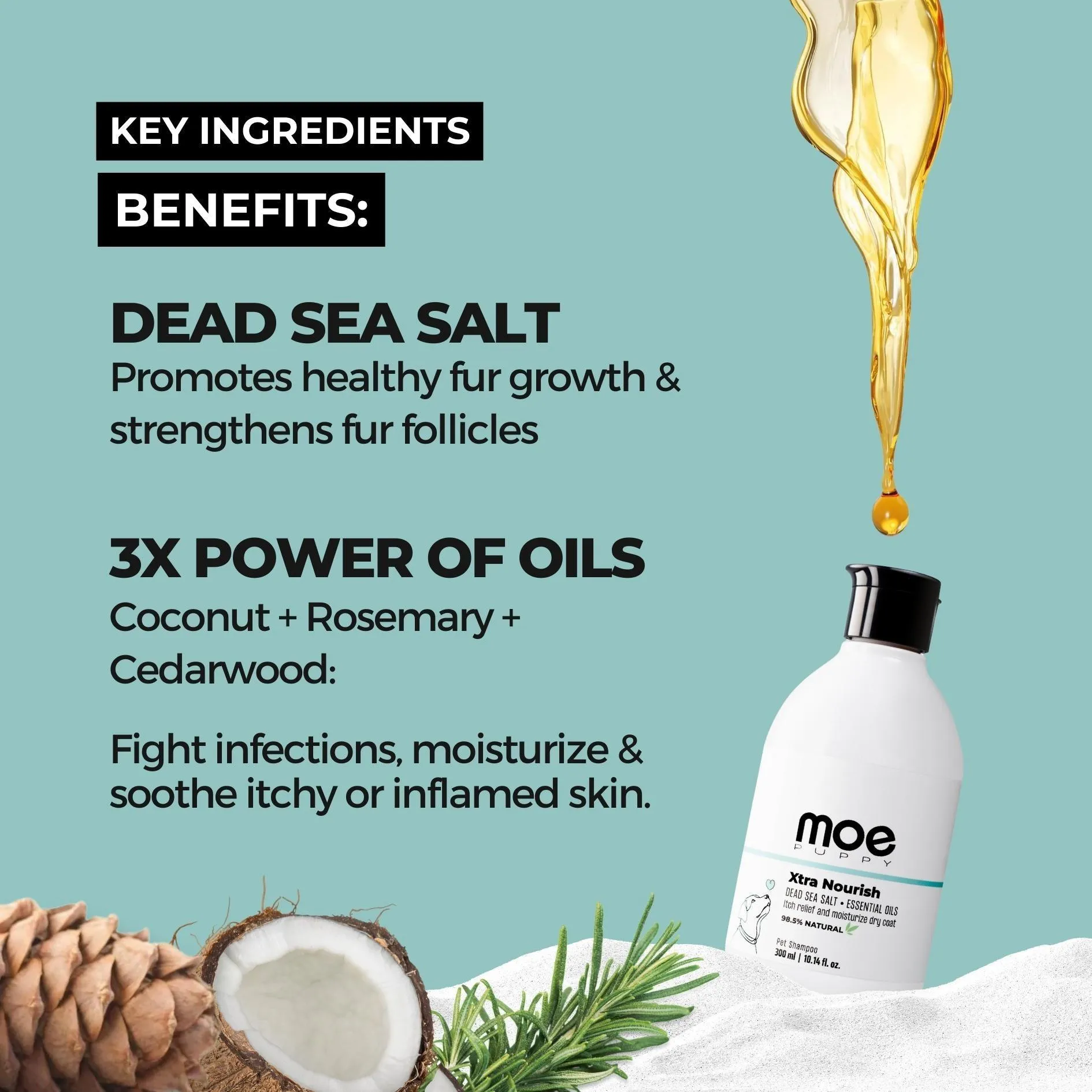 Shampoo Conditioner & Xtra Nourish Pet Shampoo Combo