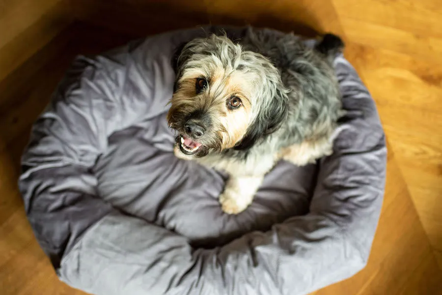Silver grey corduroy dog bed covers