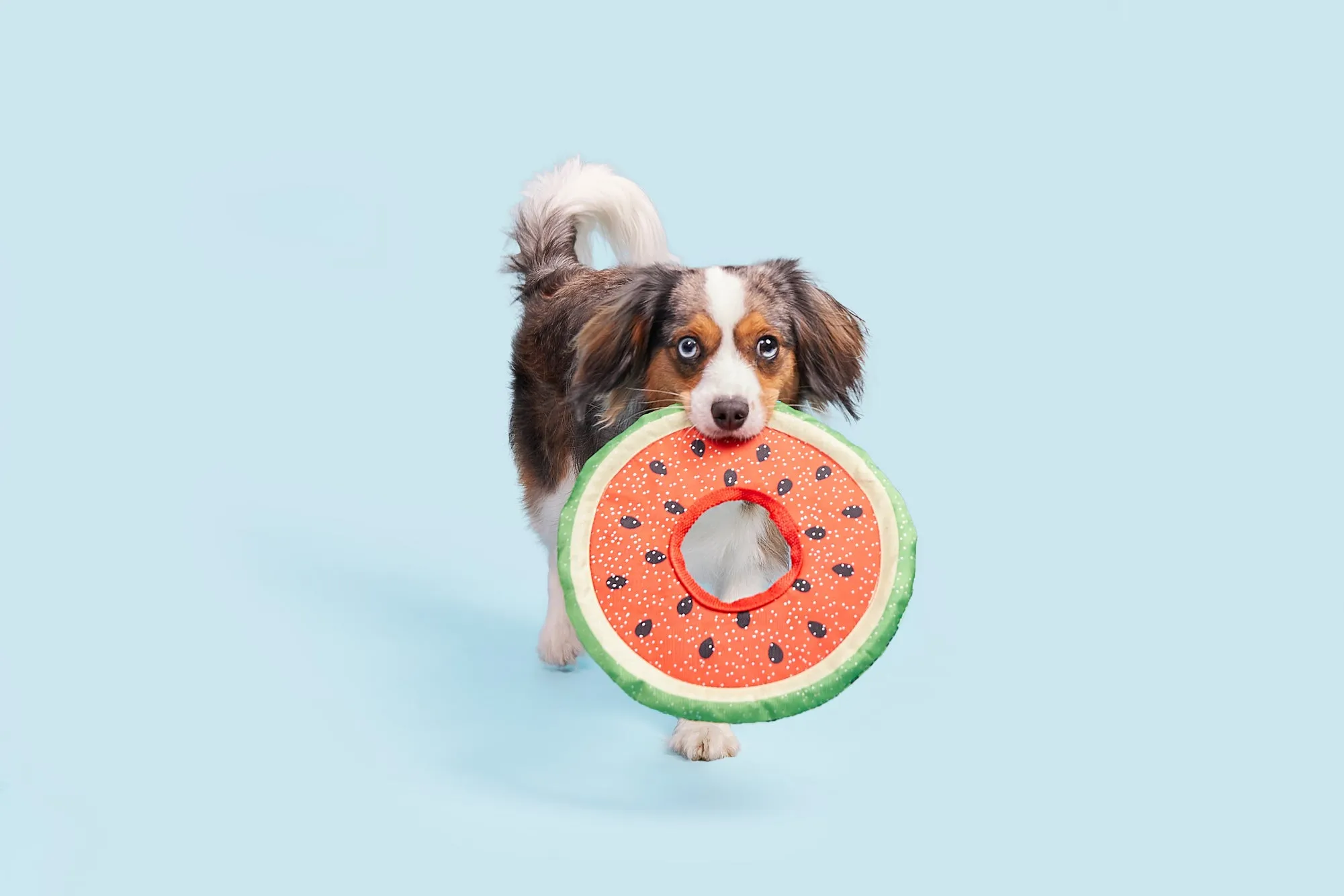Slobbermelon Fetch