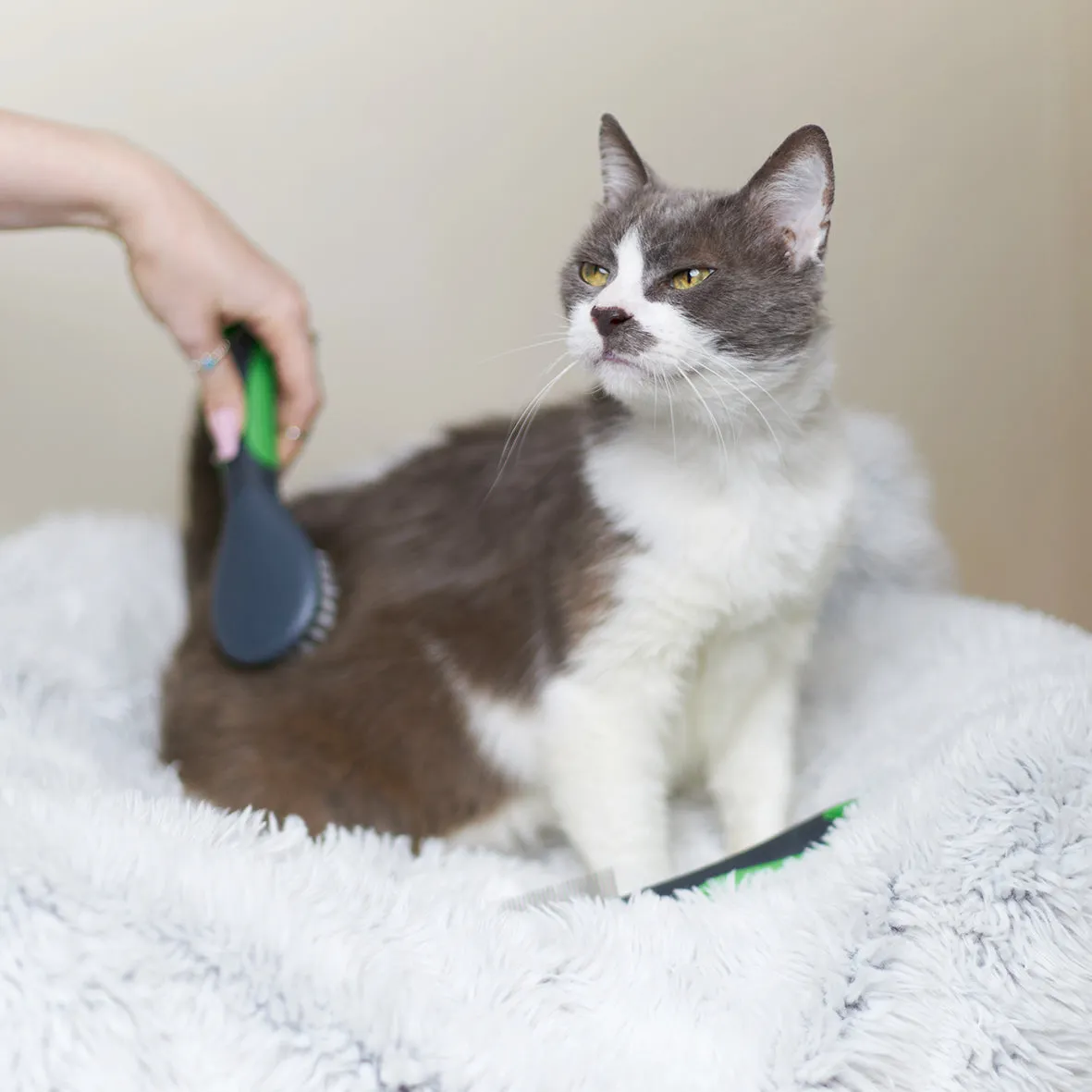 Soft Cat Brush