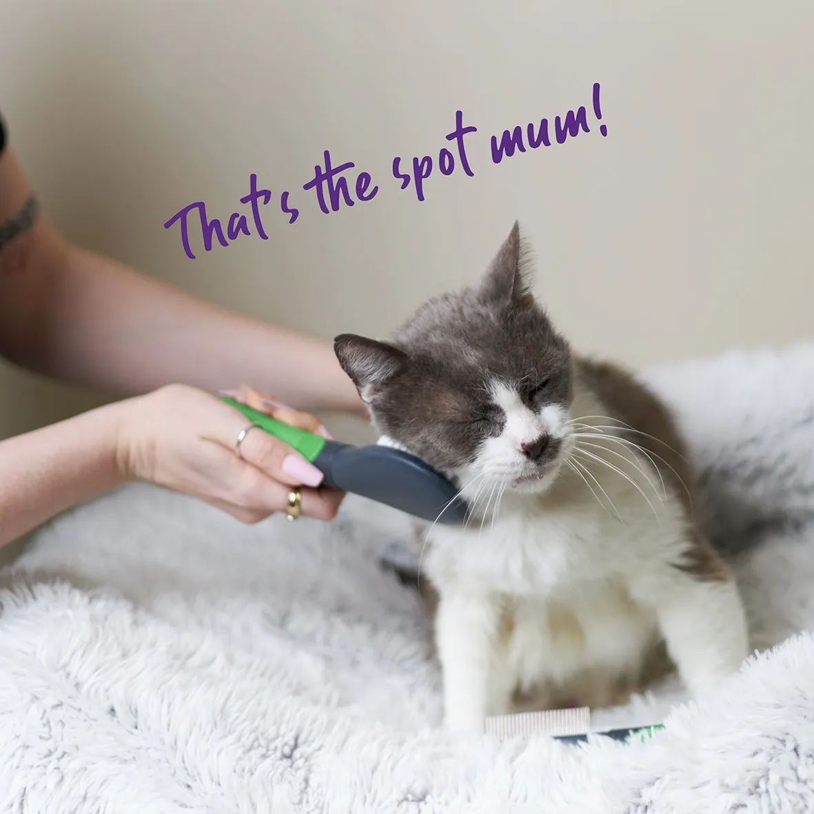 Soft Cat Brush