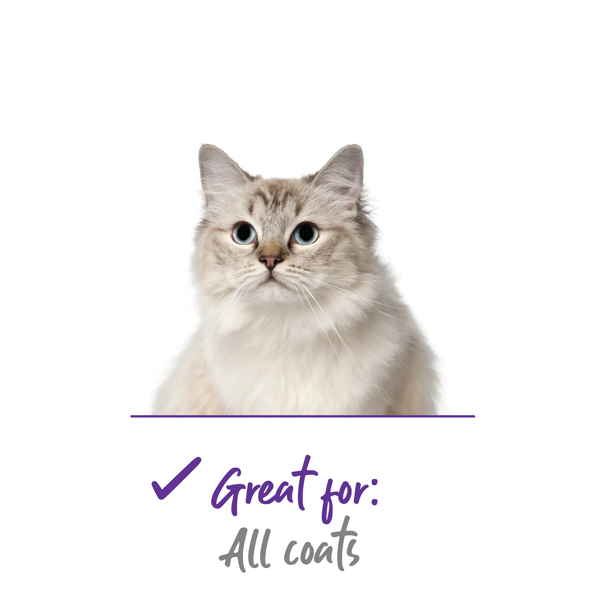 Soft Cat Brush