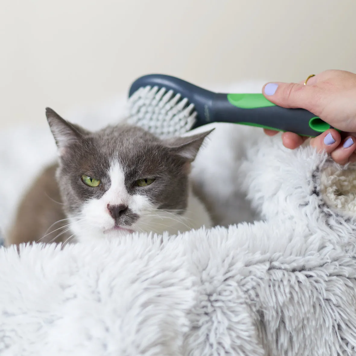 Soft Cat Brush