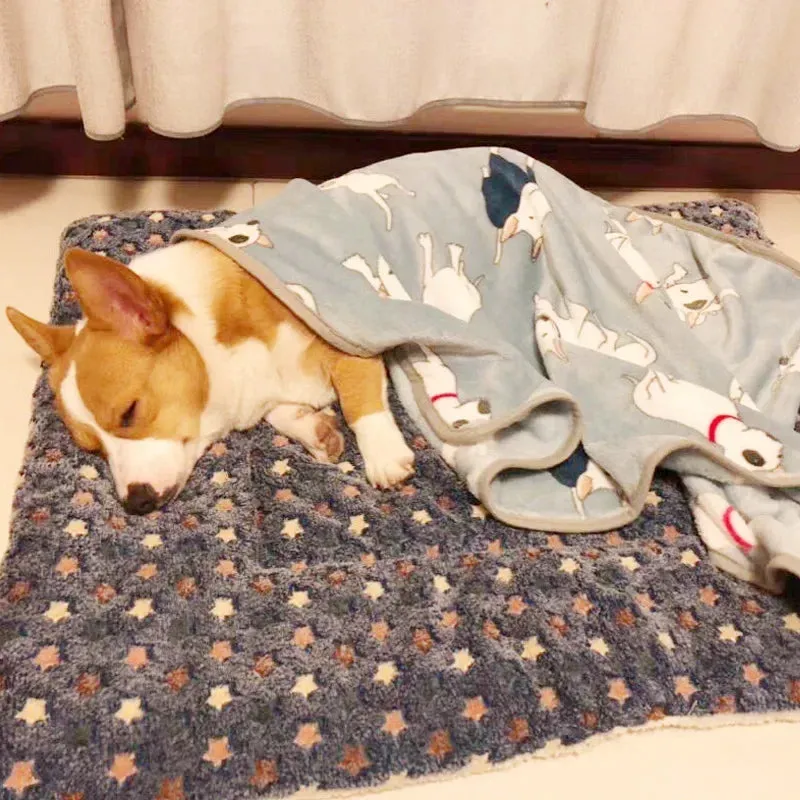 Soft Flannel Pet Mat | Winter Thicken Warm Cat & Dog Blanket | Puppy Sleeping Cover Towel | Cushion for Small, Medium & Large Dogs