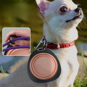 Wholesale Pet Portable Folding Outdoor Portable Stacking Bowl